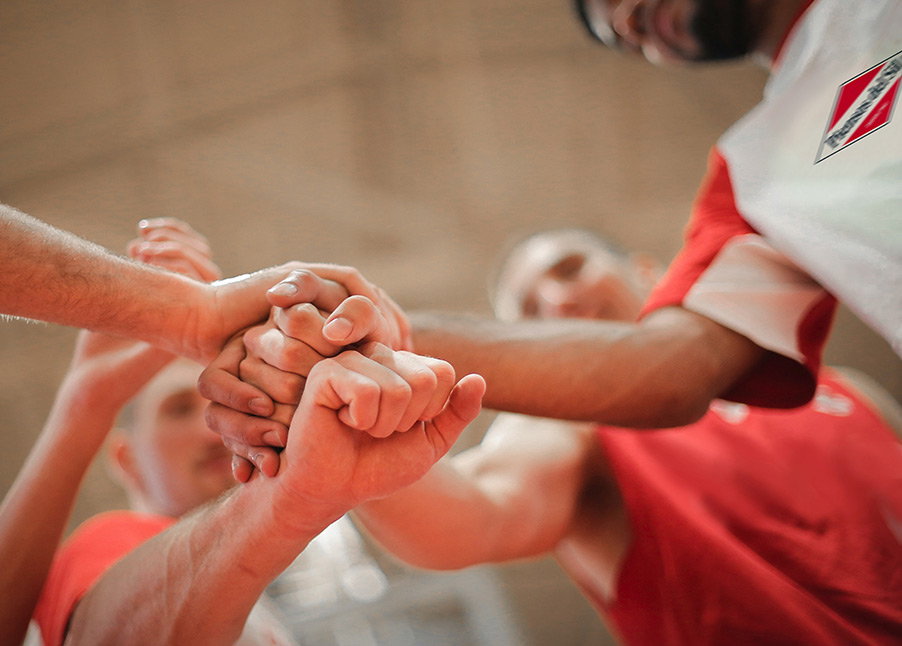 Tienda online piensos Galicia